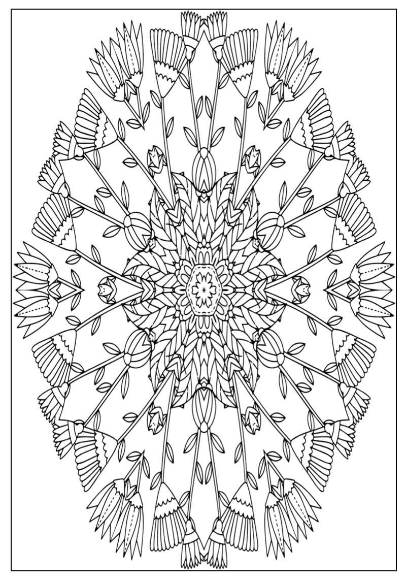 SECRET PLOT) Mandalas and Patterns Coloring Book For Kids: Easy Coloring  Book For Adults eBook PDF